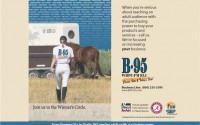 B95 – horse show